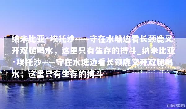 纳米比亚·埃托沙——守在水塘边看长颈鹿叉开双腿喝水，这里只有生存的搏斗_纳米比亚·埃托沙——守在水塘边看长颈鹿叉开双腿喝水，这里只有生存的搏斗
