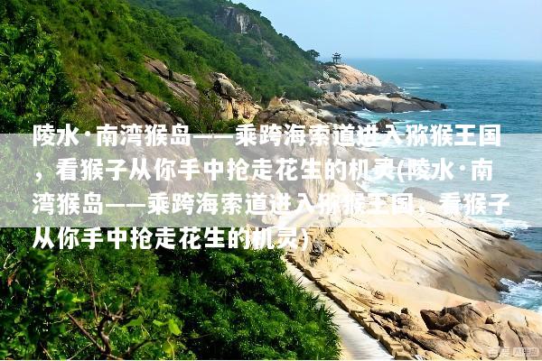 陵水·南湾猴岛——乘跨海索道进入猕猴王国，看猴子从你手中抢走花生的机灵(陵水·南湾猴岛——乘跨海索道进入猕猴王国，看猴子从你手中抢走花生的机灵)
