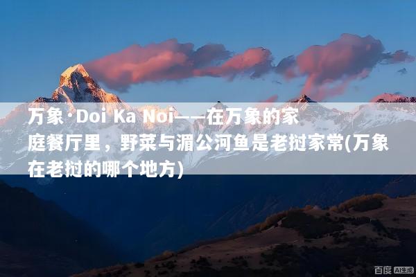 万象·Doi Ka Noi——在万象的家庭餐厅里，野菜与湄公河鱼是老挝家常(万象在老挝的哪个地方)