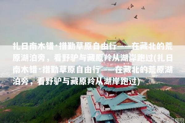 扎日南木错·措勤草原自由行——在藏北的荒原湖泊旁，看野驴与藏原羚从湖岸跑过(扎日南木错·措勤草原自由行——在藏北的荒原湖泊旁，看野驴与藏原羚从湖岸跑过)