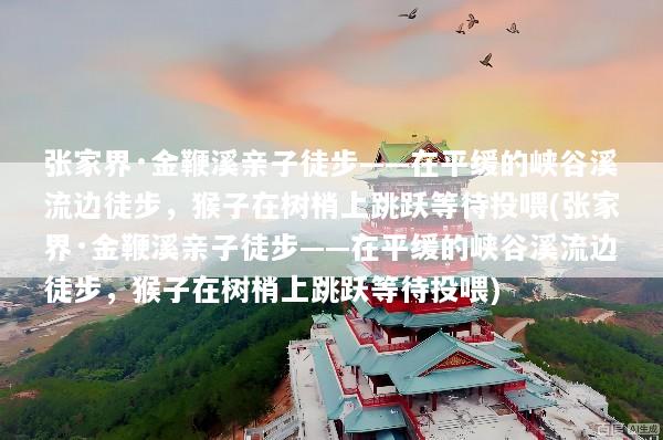 张家界·金鞭溪亲子徒步——在平缓的峡谷溪流边徒步，猴子在树梢上跳跃等待投喂(张家界·金鞭溪亲子徒步——在平缓的峡谷溪流边徒步，猴子在树梢上跳跃等待投喂)