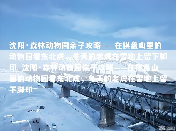 沈阳·森林动物园亲子攻略——在棋盘山里的动物园看东北虎，冬天的老虎在雪地上留下脚印_沈阳·森林动物园亲子攻略——在棋盘山里的动物园看东北虎，冬天的老虎在雪地上留下脚印