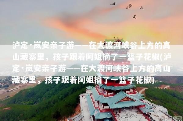 泸定·岚安亲子游——在大渡河峡谷上方的高山藏寨里，孩子跟着阿姐摘了一篮子花椒(泸定·岚安亲子游——在大渡河峡谷上方的高山藏寨里，孩子跟着阿姐摘了一篮子花椒)