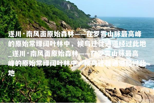 遂川·南风面原始森林——在罗霄山脉最高峰的原始常绿阔叶林中，候鸟迁徙通道经过此地_遂川·南风面原始森林——在罗霄山脉最高峰的原始常绿阔叶林中，候鸟迁徙通道经过此地