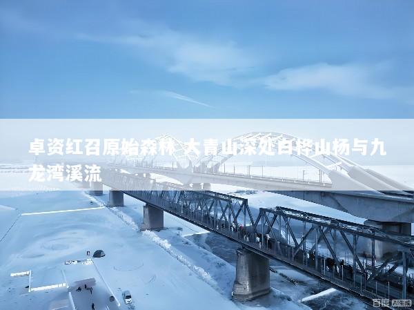 卓资红召原始森林 大青山深处白桦山杨与九龙湾溪流