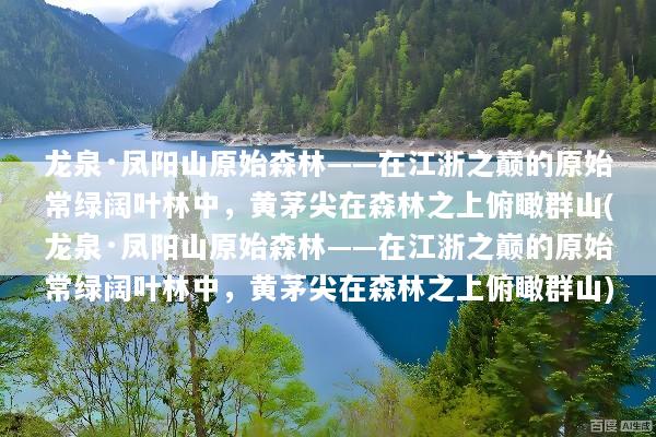 龙泉·凤阳山原始森林——在江浙之巅的原始常绿阔叶林中，黄茅尖在森林之上俯瞰群山(龙泉·凤阳山原始森林——在江浙之巅的原始常绿阔叶林中，黄茅尖在森林之上俯瞰群山)
