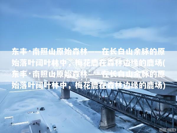 文章配图