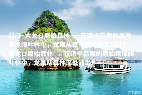 易门·大龙口原始森林——在滇中高原的原始常绿阔叶林中，龙泉从森林深处涌出(易门·大龙口原始森林——在滇中高原的原始常绿阔叶林中，龙泉从森林深处涌出)