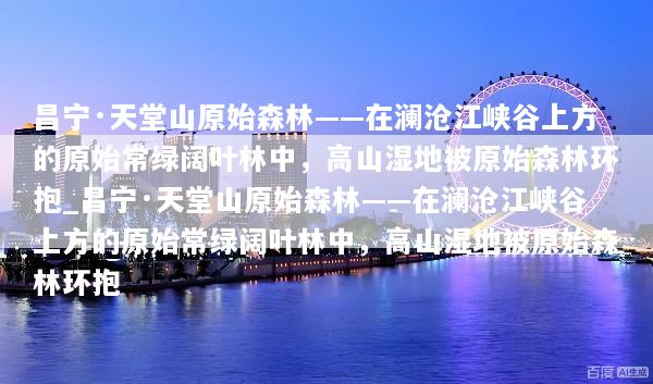 昌宁·天堂山原始森林——在澜沧江峡谷上方的原始常绿阔叶林中，高山湿地被原始森林环抱_昌宁·天堂山原始森林——在澜沧江峡谷上方的原始常绿阔叶林中，高山湿地被原始森林环抱