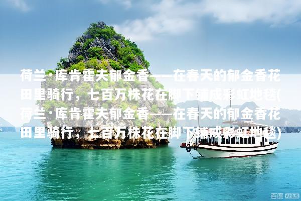 荷兰·库肯霍夫郁金香——在春天的郁金香花田里骑行，七百万株花在脚下铺成彩虹地毯(荷兰·库肯霍夫郁金香——在春天的郁金香花田里骑行，七百万株花在脚下铺成彩虹地毯)