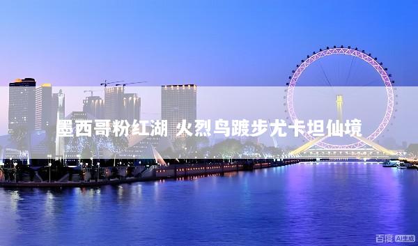 墨西哥粉红湖 火烈鸟踱步尤卡坦仙境
