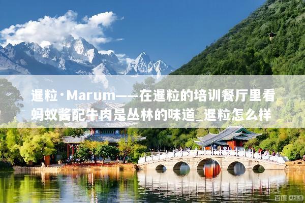 暹粒·Marum——在暹粒的培训餐厅里看蚂蚁酱配牛肉是丛林的味道_暹粒怎么样